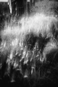 abstract, black and white, long exposure, impressionist photography, sad mood